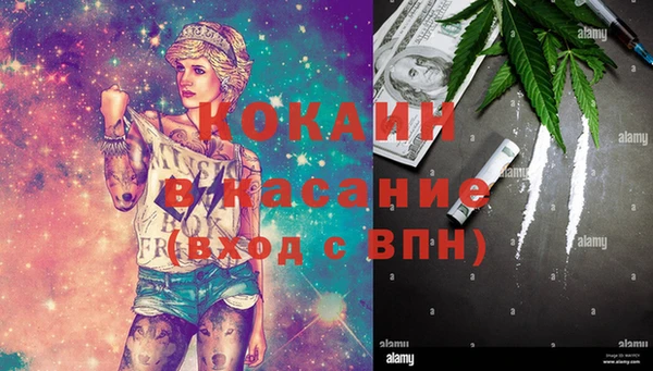 метадон Алексин