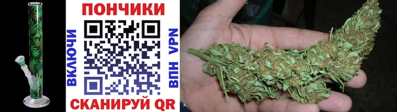 Бошки марихуана THC 21%  Курчалой 
